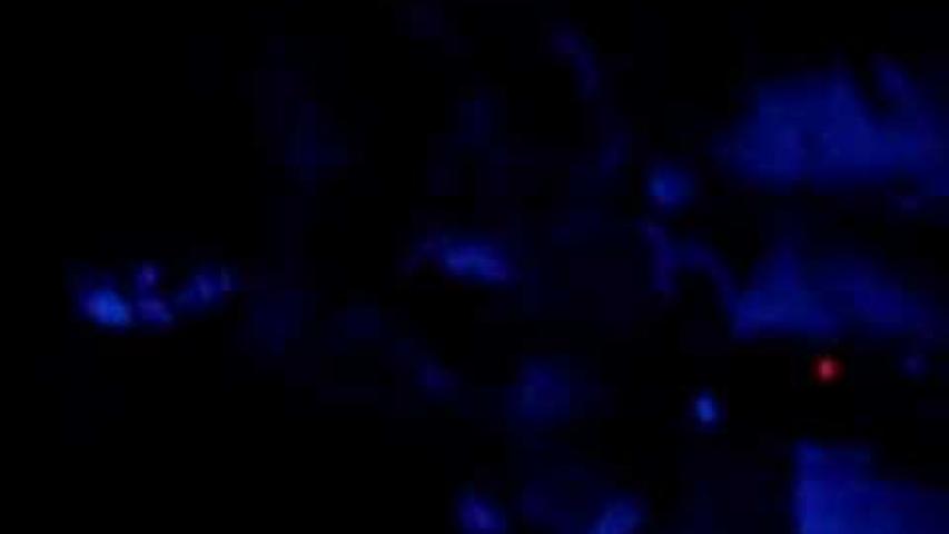 Preview image for the video "2006-10-24 Fishbone @ Mephisto - Poble Nou - Barcelona - Spain (video-1896)".