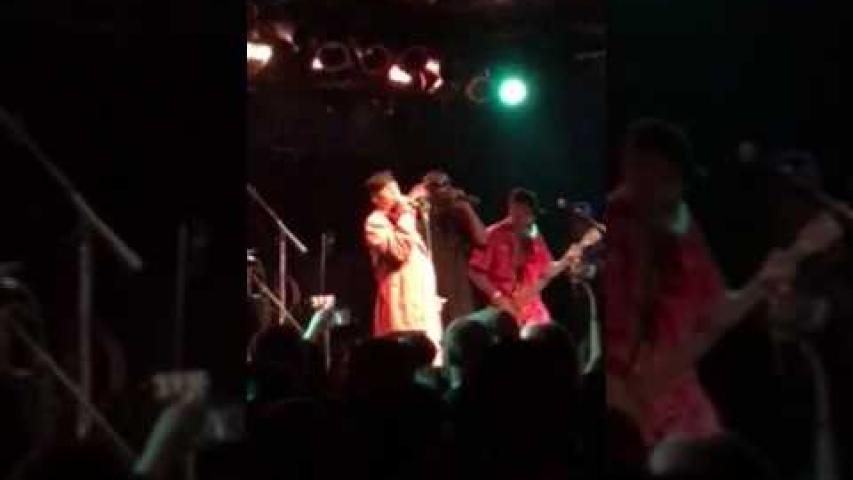 Preview image for the video "2017-04-01 Fishbone @ Bottom Lounge - Chicago - IL United States (video-3007)".