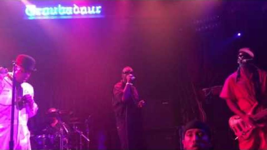 Preview image for the video "2014-12-19 Fishbone @ Troubadour - West Hollywood - CA United States (video-2752)".