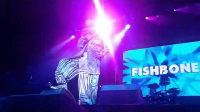 Preview image for the video "2017-09-02 Fishbone @ Ska Fest - México City - Mexico (video-3046)". Preview image for the video "2017-09-02 Fishbone @ Ska Fest - México City - Mexico (video-3046)".