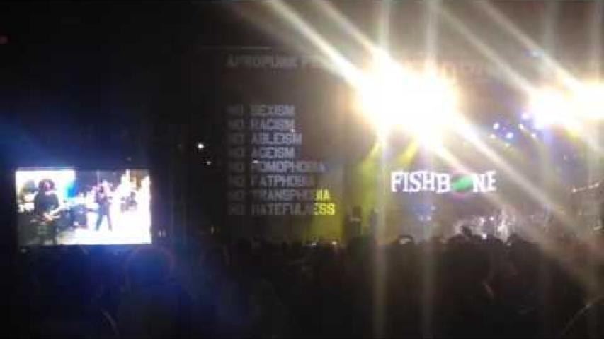 Preview image for the video "2016-08-28 Fishbone @ Afro-Punk Festival - Brooklyn - NY United States (video-2905)". Preview image for the video "2016-08-28 Fishbone @ Afro-Punk Festival - Brooklyn - NY United States (video-2905)".