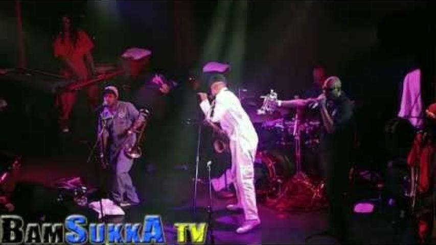 Preview image for the video "2014-12-19 Fishbone @ Troubadour - West Hollywood - CA United States (video-2784)".