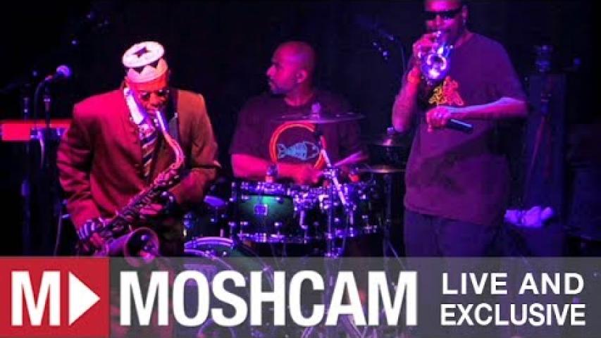 Preview image for the video "2012-03-23 Fishbone @ Independent - San Francisco - CA United States (video-2731)".
