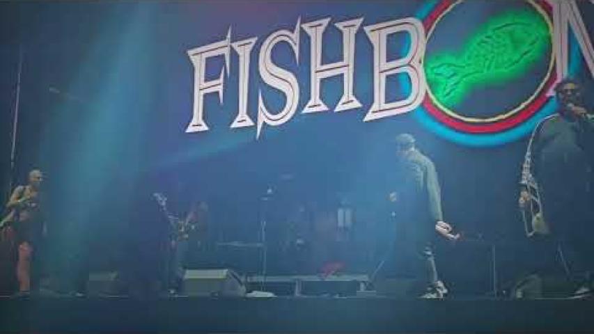 Preview image for the video "2024-06-08 Fishbone @ Pomona Fairplex - Pomona - CA United States (video-21474)".