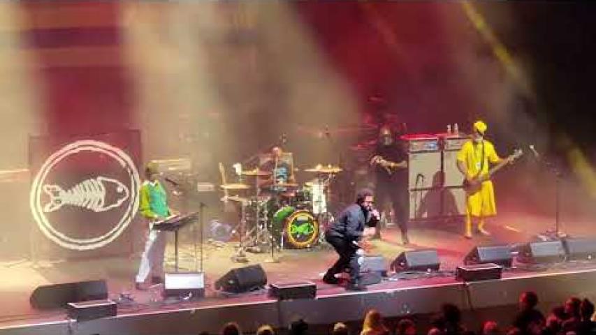 Preview image for the video "2023-08-17 Fishbone @ MGM Music Hall - Boston - MA United States (video-20576)". Preview image for the video "2023-08-17 Fishbone @ MGM Music Hall - Boston - MA United States (video-20576)".