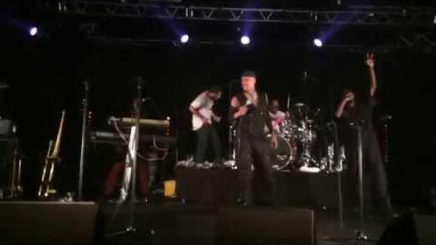 Preview image for the video "2014-05-27 Fishbone @ Oasis - Le Mans - France (video-3047)".