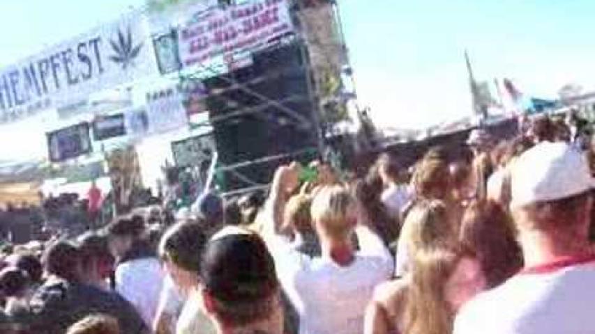 Preview image for the video "2002-08-18 Fishbone @ Hemp Fest - Seattle - WA United States (video-1904)".