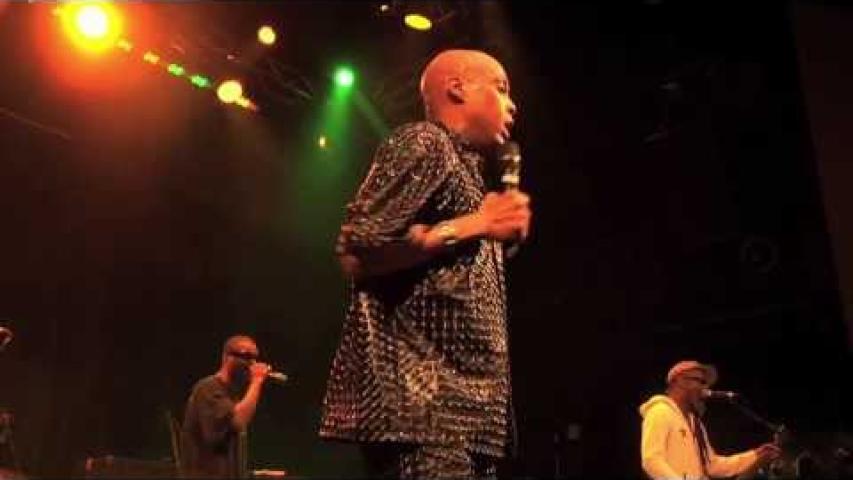 Preview image for the video "2013-03-03 Fishbone @ The Howard Theatre - Washington - DC United States (video-2592)".