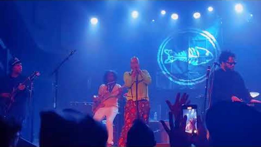 Preview image for the video "2024-12-11 Fishbone @ Hawthorne Theather - Portland - OR United States (video-21635)".