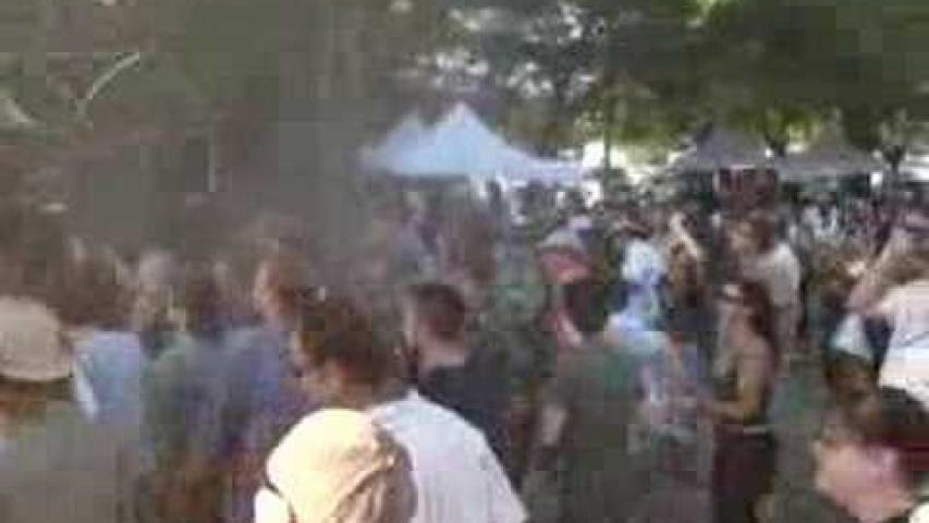 Preview image for the video "2008-06-07 Fishbone @ SumFunk Festival - Benbow - CA United States (video-1934)".
