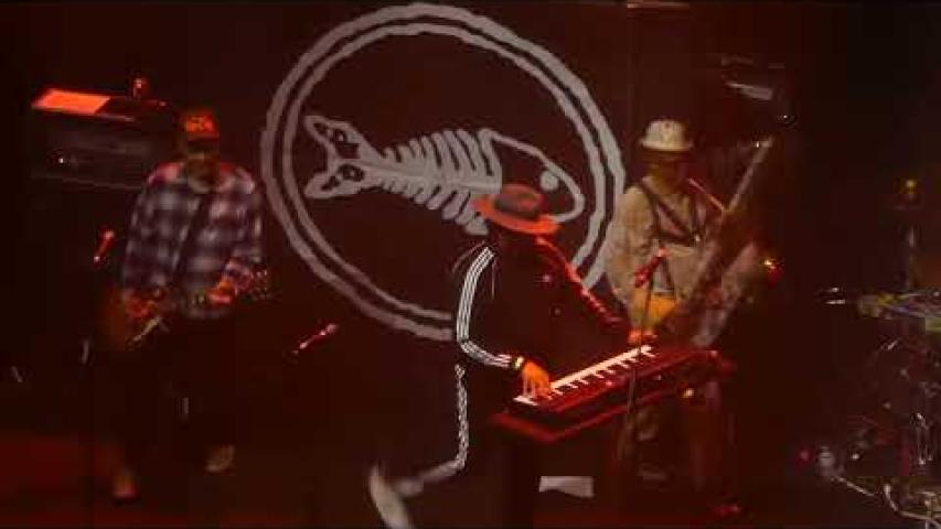 Preview image for the video "2023-11-24 Fishbone @ The Novo DTLA - Los Angeles - CA United States (video-20896)". Preview image for the video "2023-11-24 Fishbone @ The Novo DTLA - Los Angeles - CA United States (video-20896)".