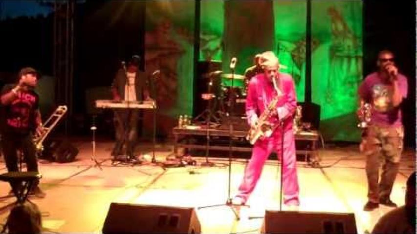 Preview image for the video "2012-06-02 Fishbone @ Benbow Lake State Rec Area - Garberville - CA United States (video-2345)".