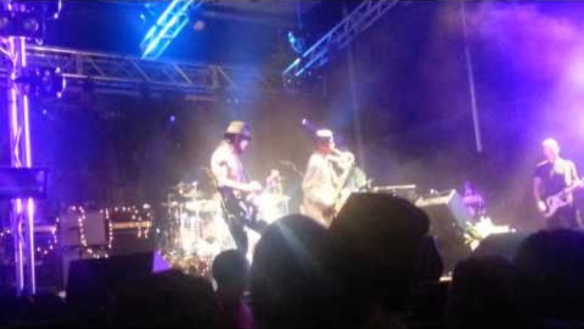 Preview image for the video "2014-09-27 Fishbone @ Shindig Festival - Baltimore - MD United States (video-2708)".