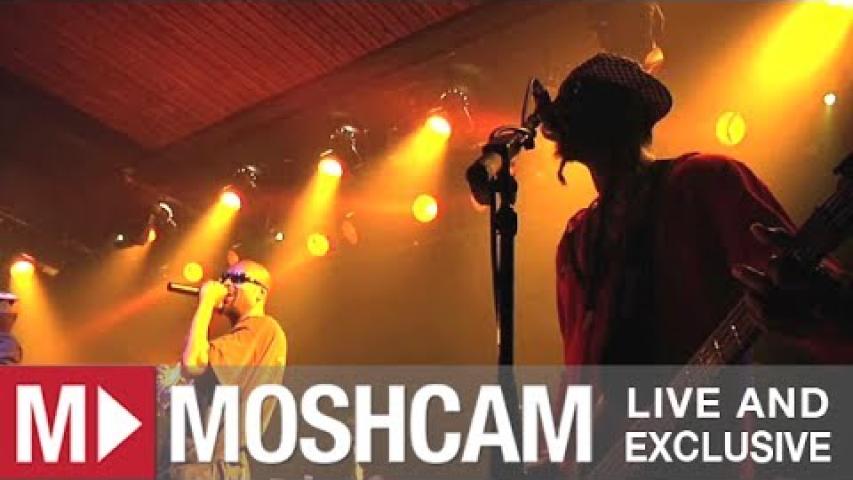 Preview image for the video "2012-03-23 Fishbone @ Independent - San Francisco - CA United States (video-2728)".