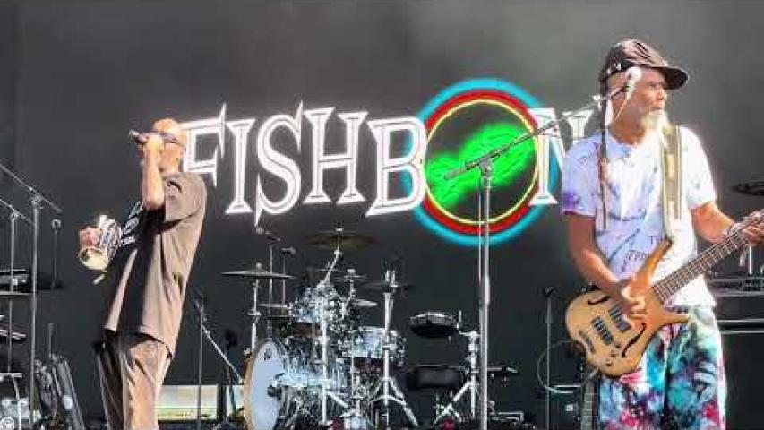 Preview image for the video "2021-09-17 Fishbone @ Riot Fest &amp; Carnival - Chicago - IL United States (video-21999)".