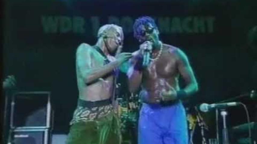 Preview image for the video "1993-05-29 Fishbone @ Grugahalle - Essen - Germany (video-2833)".