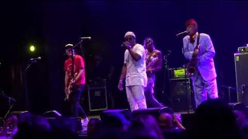 Preview image for the video "2024-06-29 Fishbone @ Lena Horne Bandshell - Brooklyn - NY United States (video-21509)".