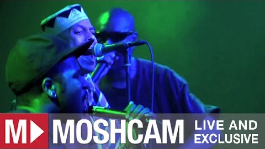 Preview image for the video "2012-03-23 Fishbone @ Independent - San Francisco - CA United States (video-2738)".