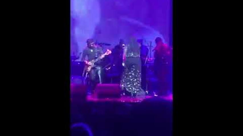 Preview image for the video "2016-11-26 Fishbone @ The Apollo - New York - NY United States (video-2934)".