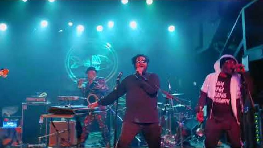 Preview image for the video "2024-12-11 Fishbone @ Hawthorne Theather - Portland - OR United States (video-21633)".