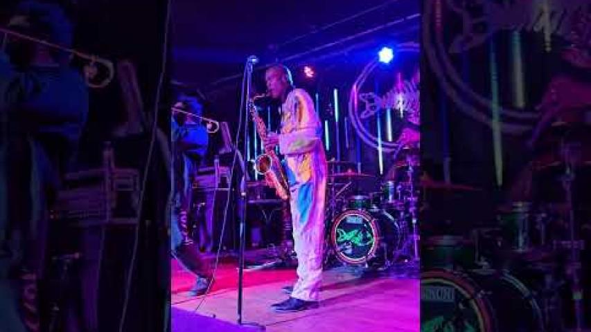 Preview image for the video "2023-08-23 Fishbone @ Magic Stick - Detroit - MI United States (video-20640)".