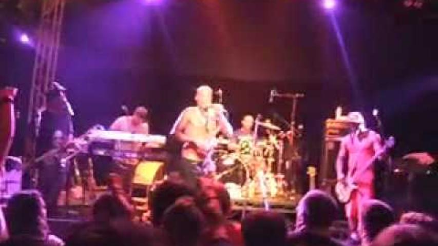 Preview image for the video "2009-06-05 Fishbone @ Islington Academy - London - United Kingdom (video-2007)".