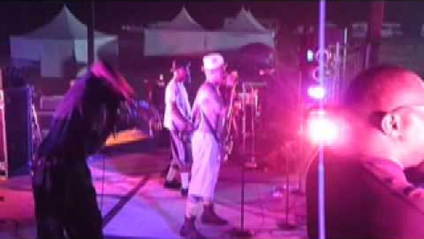 Preview image for the video "2010-06-25 Fishbone @ Skatopia - American Skate Festival - Rutland - OH United States (video-2128)".