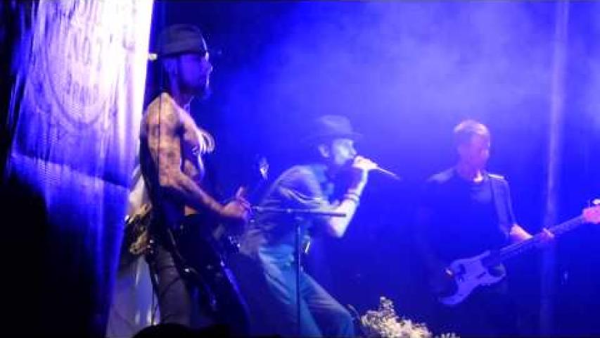 Preview image for the video "2014-09-27 Fishbone @ Shindig Festival - Baltimore - MD United States (video-2699)".