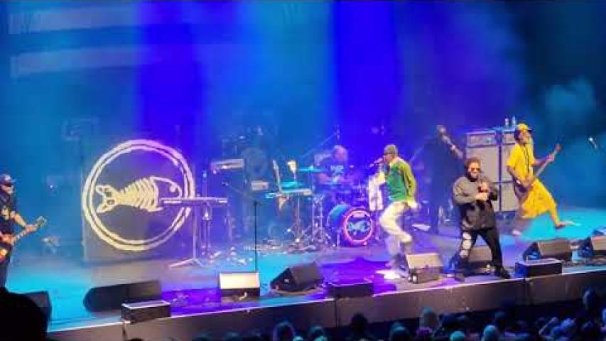 Preview image for the video "2023-08-17 Fishbone @ MGM Music Hall - Boston - MA United States (video-20575)". Preview image for the video "2023-08-17 Fishbone @ MGM Music Hall - Boston - MA United States (video-20575)".