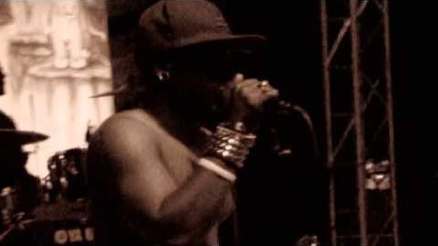 Preview image for the video "2012-06-02 Fishbone @ Benbow Lake State Rec Area - Garberville - CA United States (video-2352)".