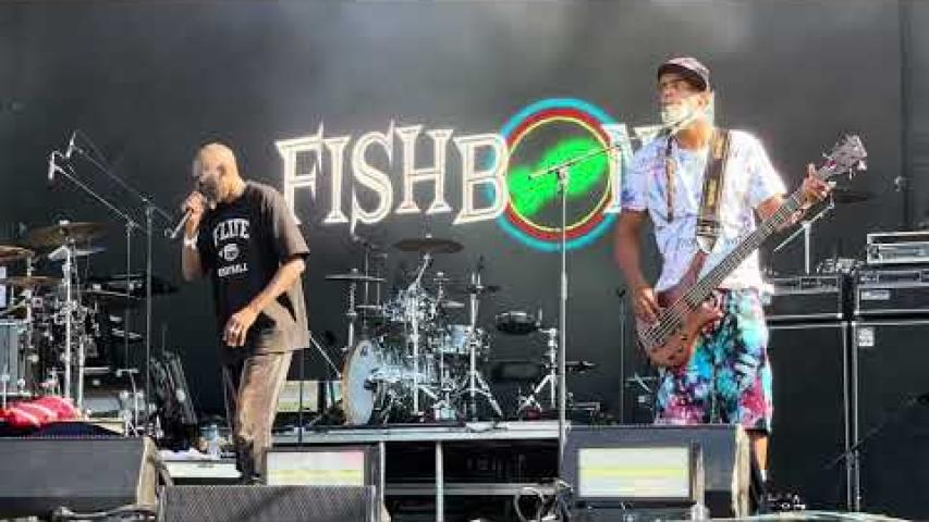 Preview image for the video "2021-09-17 Fishbone @ Riot Fest &amp; Carnival - Chicago - IL United States (video-22069)".