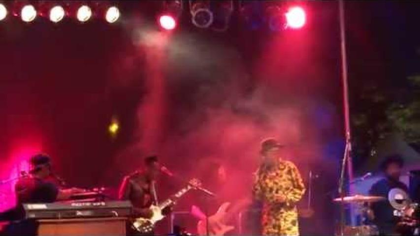 Preview image for the video "2014-08-24 Fishbone @ Afro-Punk Festival - Brooklyn - NY United States (video-2675)".