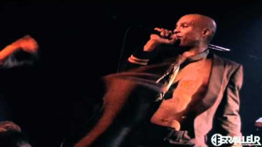 Preview image for the video "2011-05-10 Fishbone @ Le Ferraileur - Nantes - France (video-2443)".