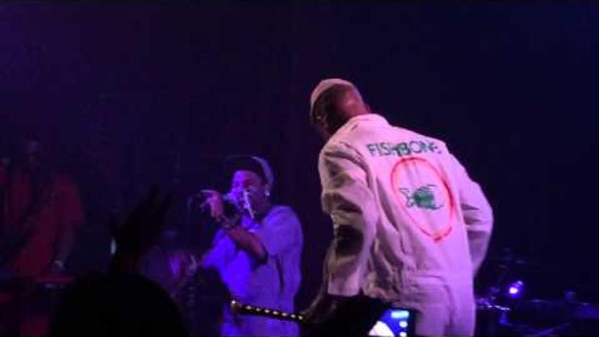 Preview image for the video "2014-12-19 Fishbone @ Troubadour - West Hollywood - CA United States (video-2753)".